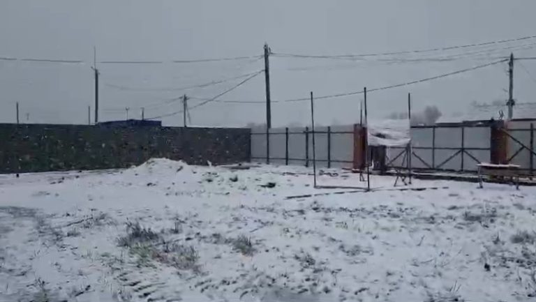 забор из профлиста