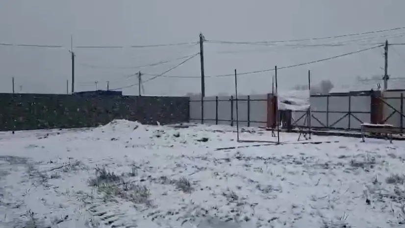 забор из профлиста